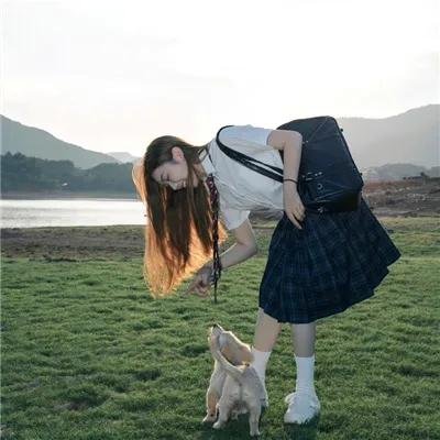 浪蝶寻春